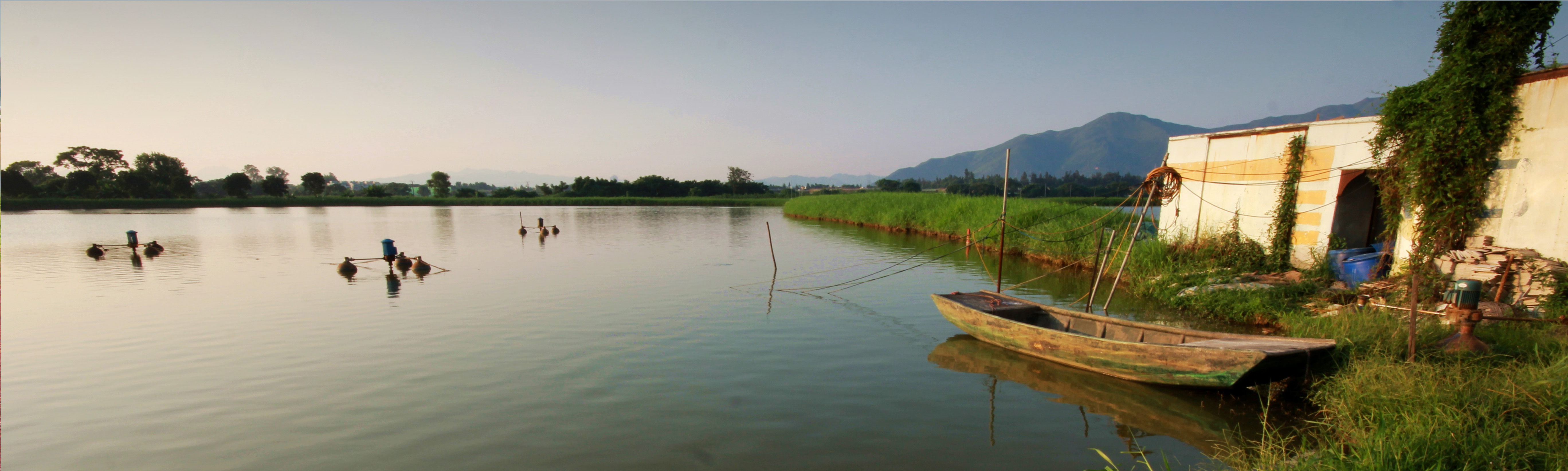 Background of HK Fishpond