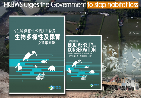 HKBWS's latest report reveals Hong Kong misses 14 out of 20 global biodiversity targets
