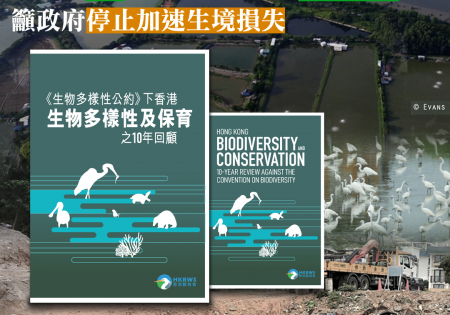 觀鳥會公布最新報告 香港僅6個生物多樣性目標部分達標