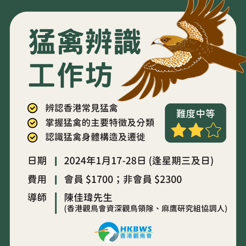 20231215 raptor identification workshop 1