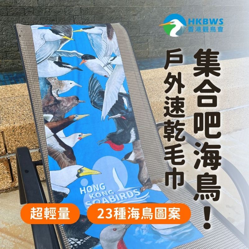 20240901 seabird towel