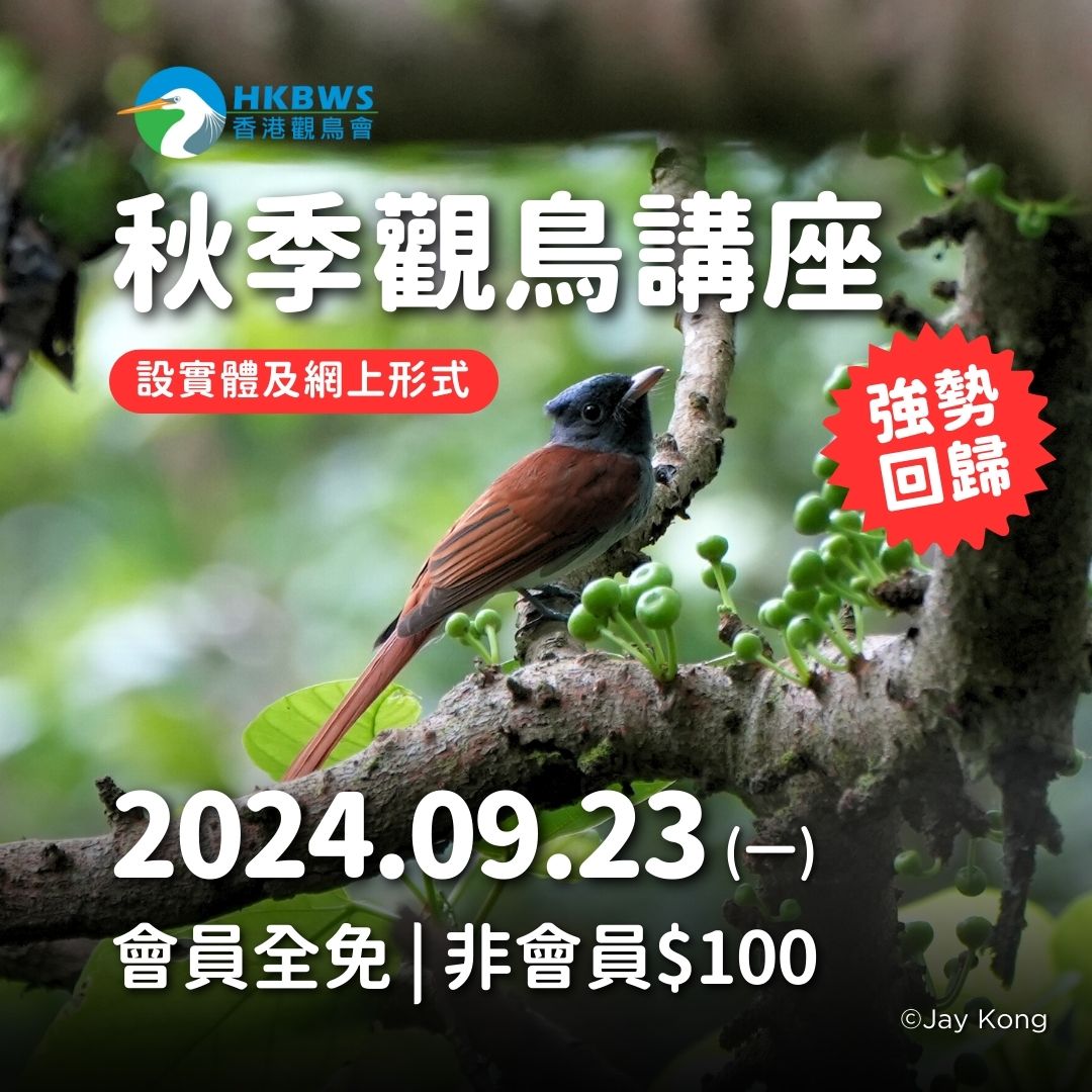 20240906 秋季觀鳥講座