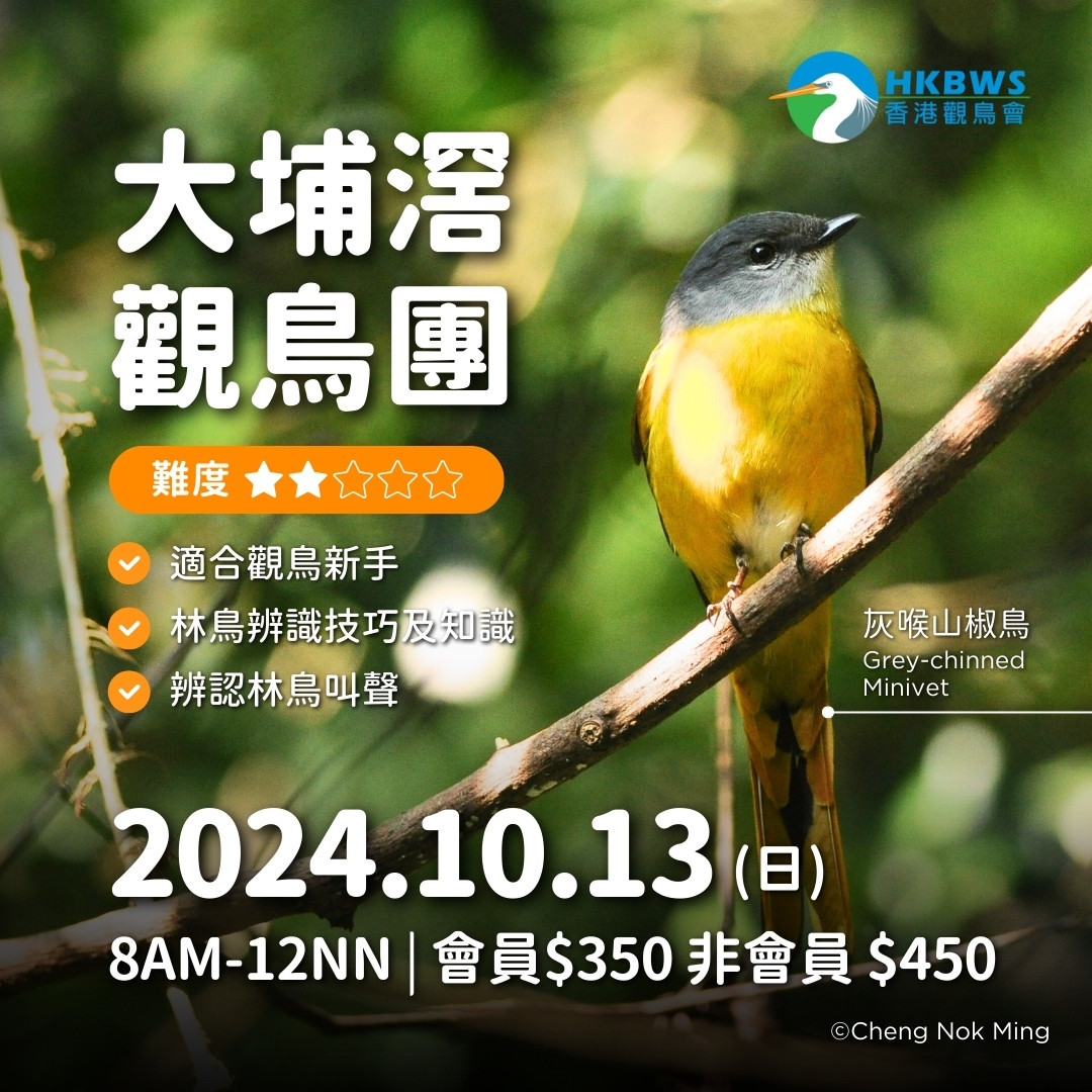 20240923 Tai Po Kau tour