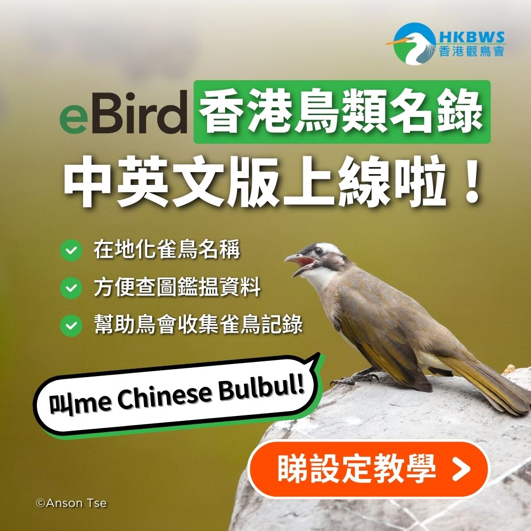 eBird 香港鳥類名錄正式上線！