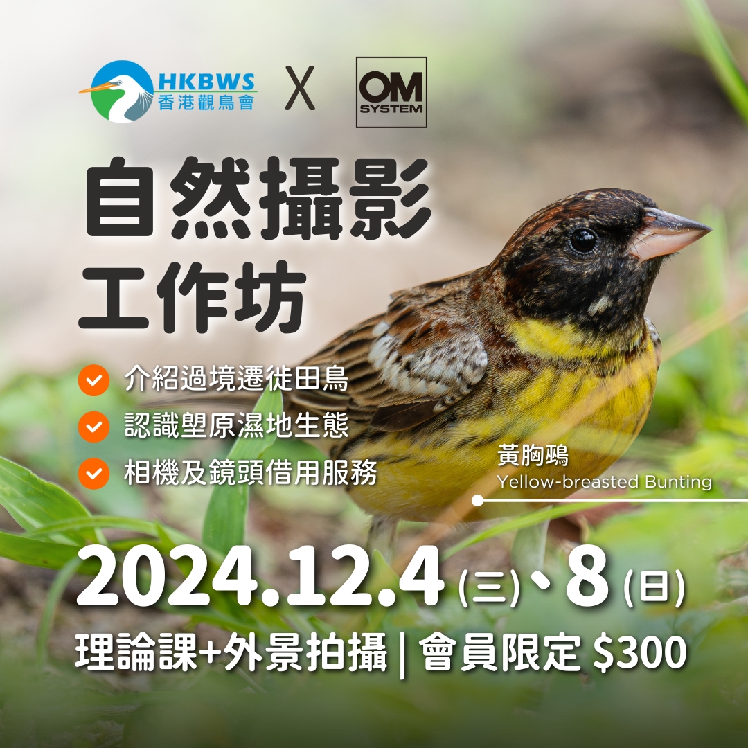 [Member Exclusive] OM SYSTEM X HKBWS Nature Photography Workshop