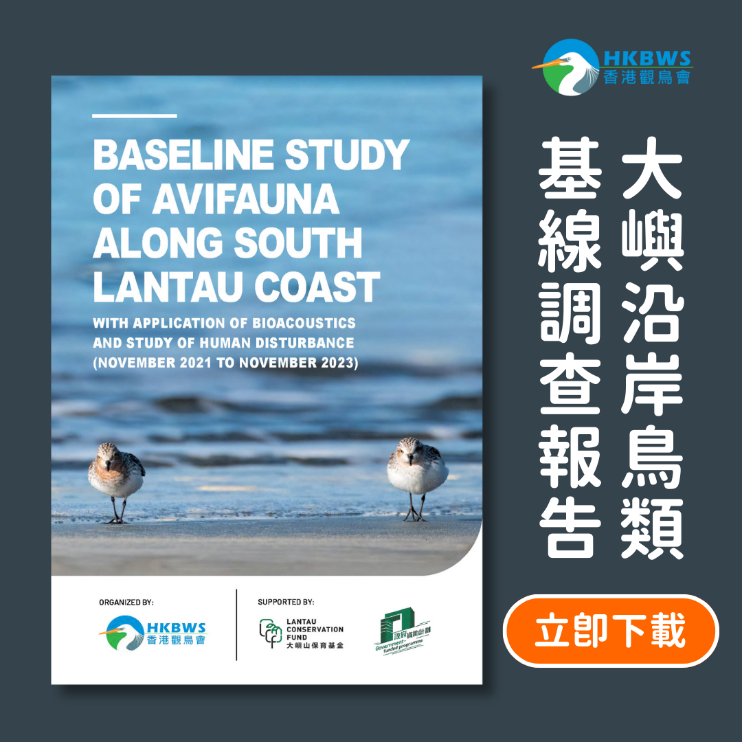 Baseline Study of Avifauna along South Lantau Coast