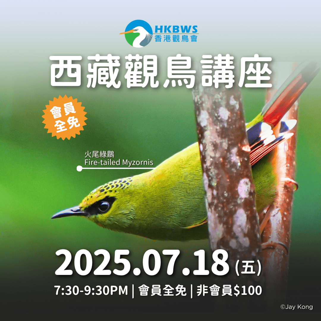 【西藏觀鳥講座】
