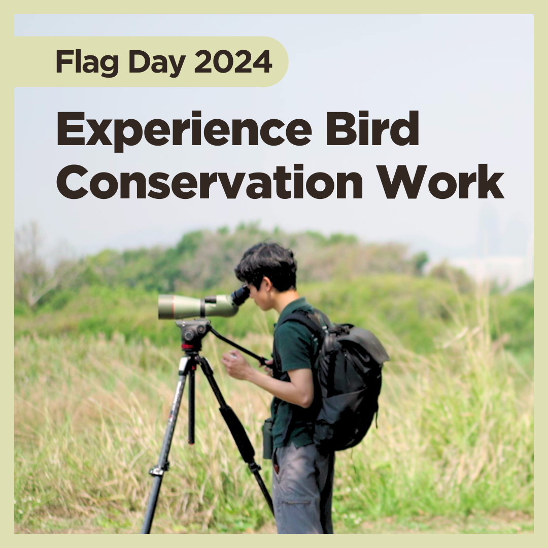 [Flag Day 2024] Experience Bird Conservation Work