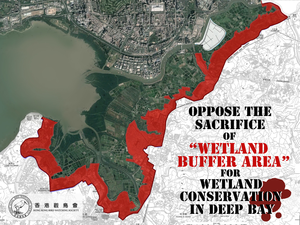 Oppose the sacrifice of “Wetland Buffer Area” (WBA) for wetland conservation in Deep Bay