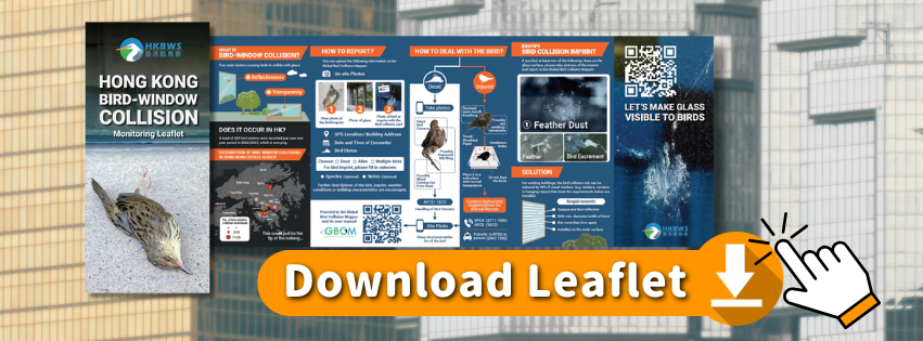 Report a bird window collision through Global Bird Collision Mapper ...