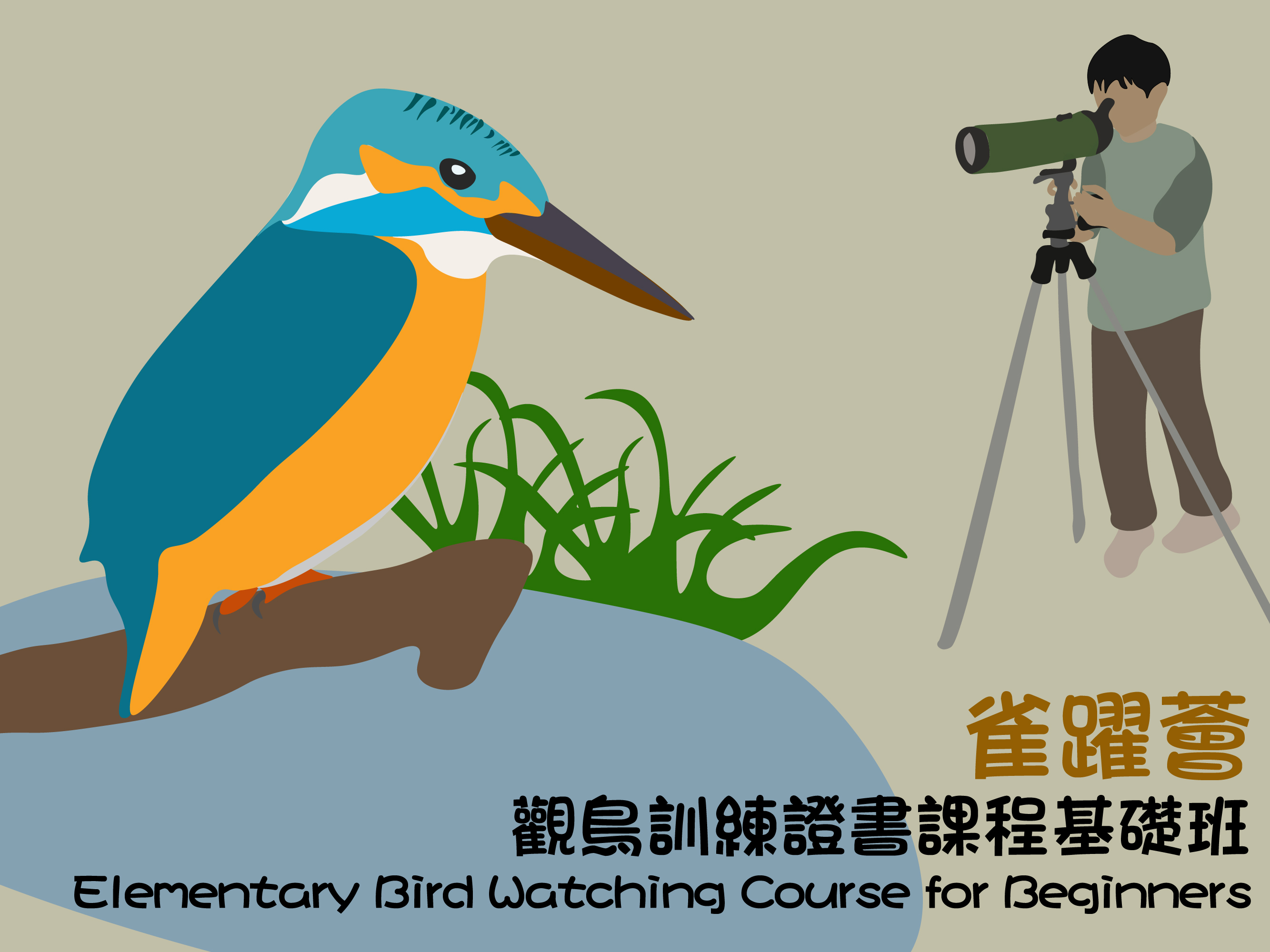 Elementary Bird Watching Course for Beginners