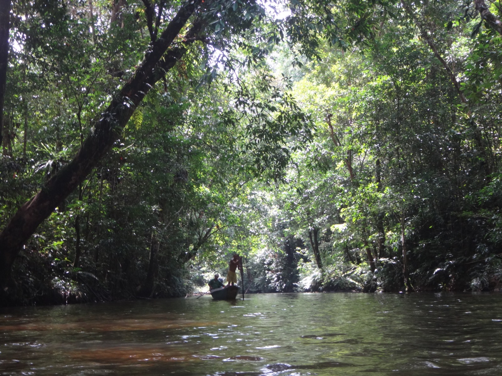 室內講座：婆羅洲雨林深度遊 – 人與自然探索之旅  2019年2月28日