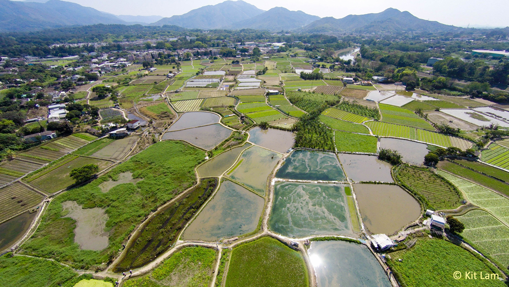 塱原計劃背景