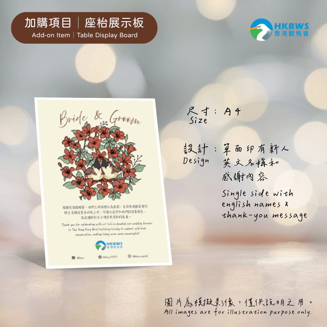 WeddingPackage Demo 4