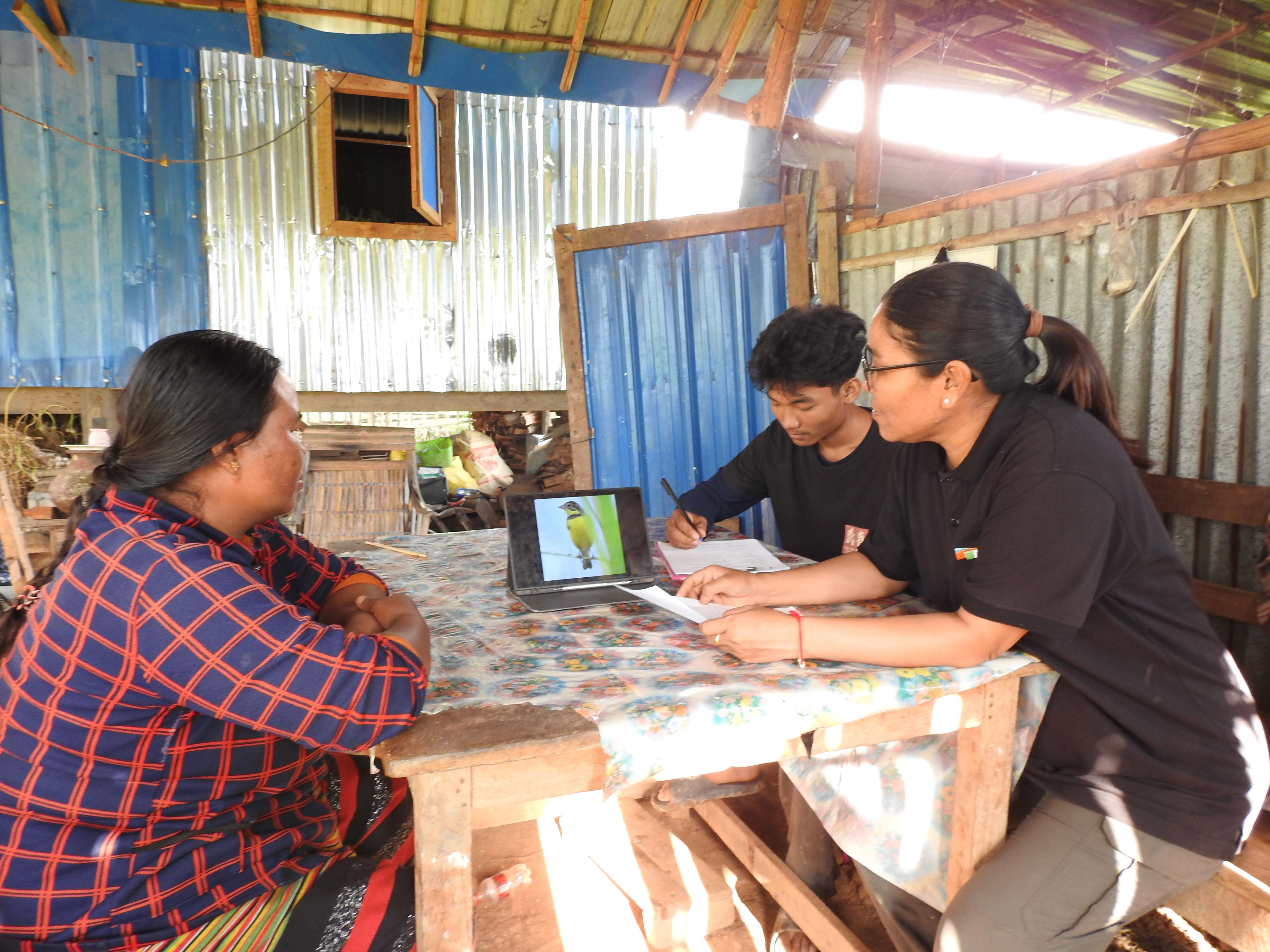 acf2425 myanmar ybb p2