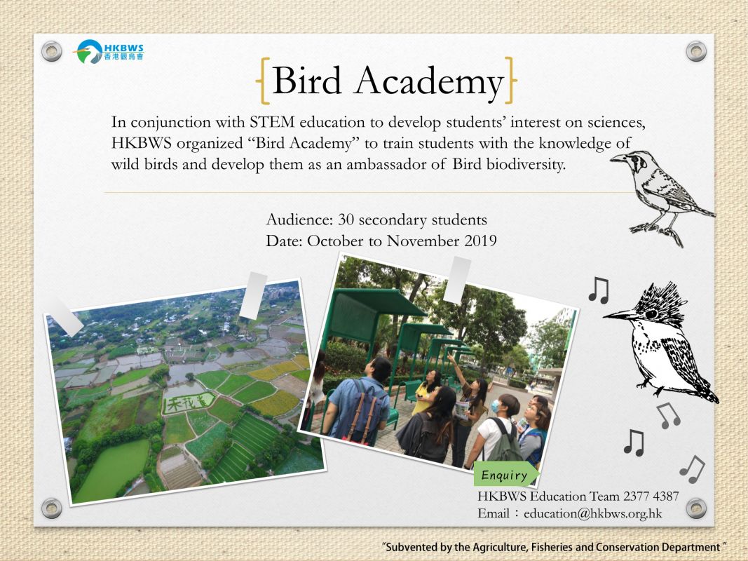 Bird Academy for Secondary Students