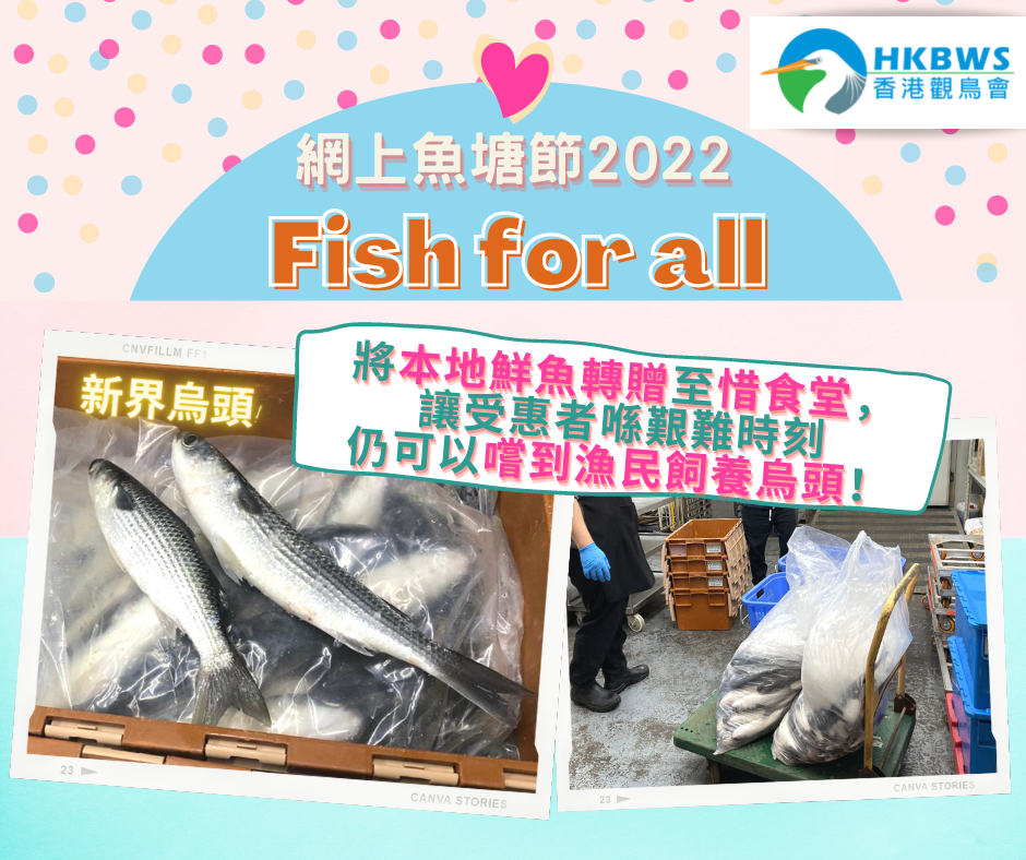 魚塘節2022 - 愛心魚贈送計劃