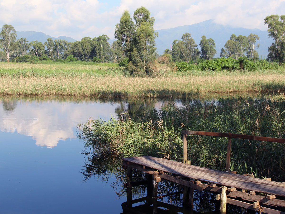 Nam Sang Wai – a place for fishpond visit