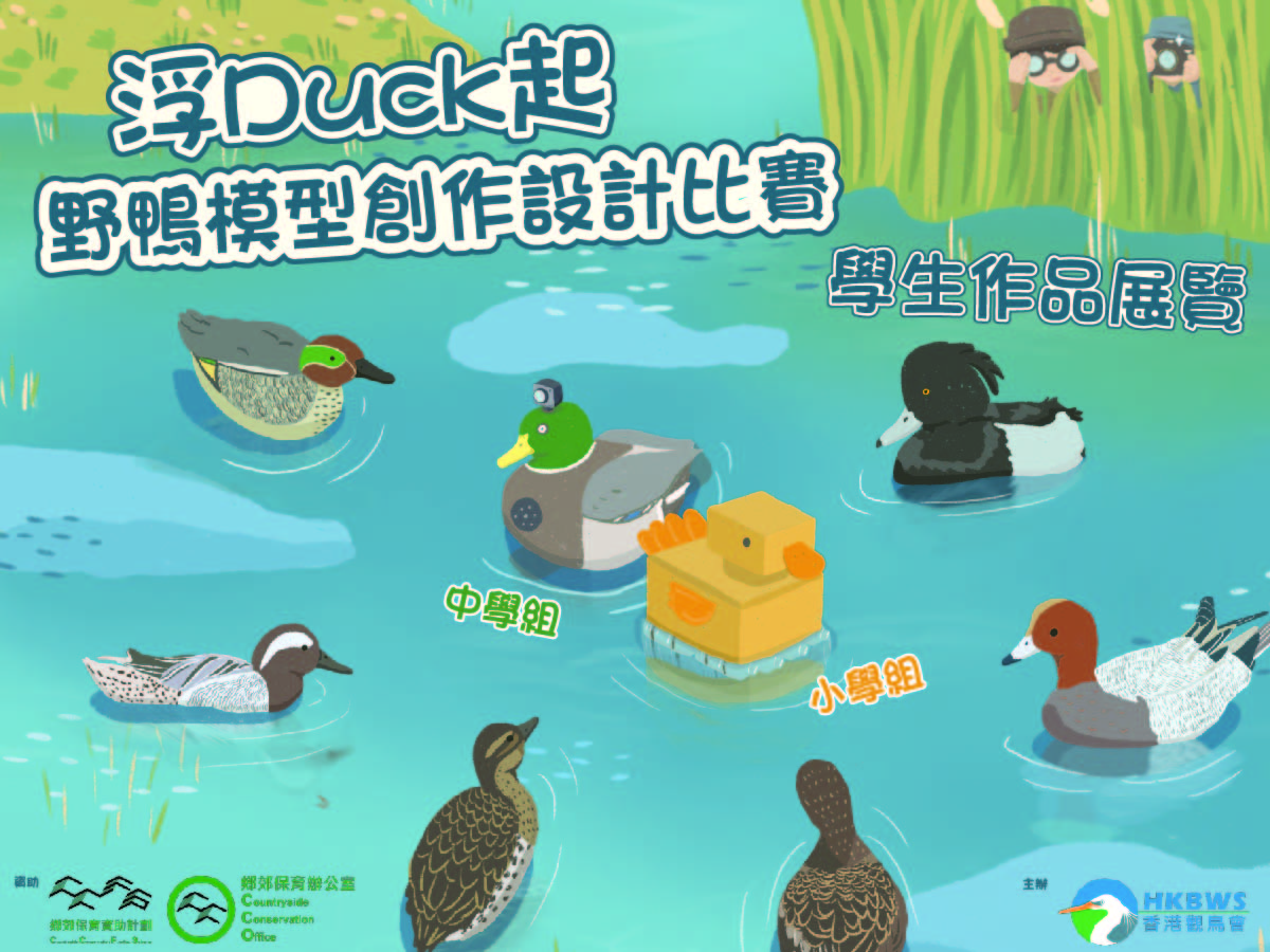 浮Duck起野鴨模型作設計比賽 - 學生作品展覽