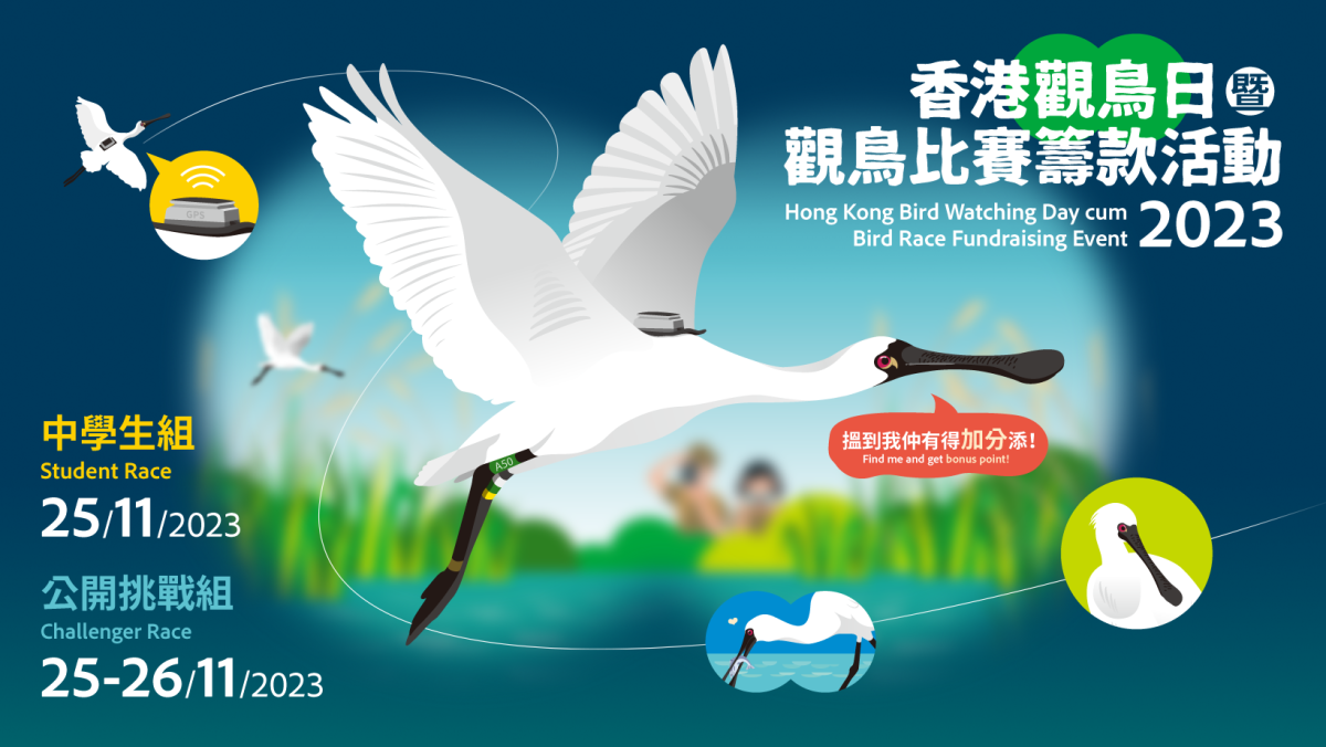 HKBWS - Hong Kong Bird Watching Society