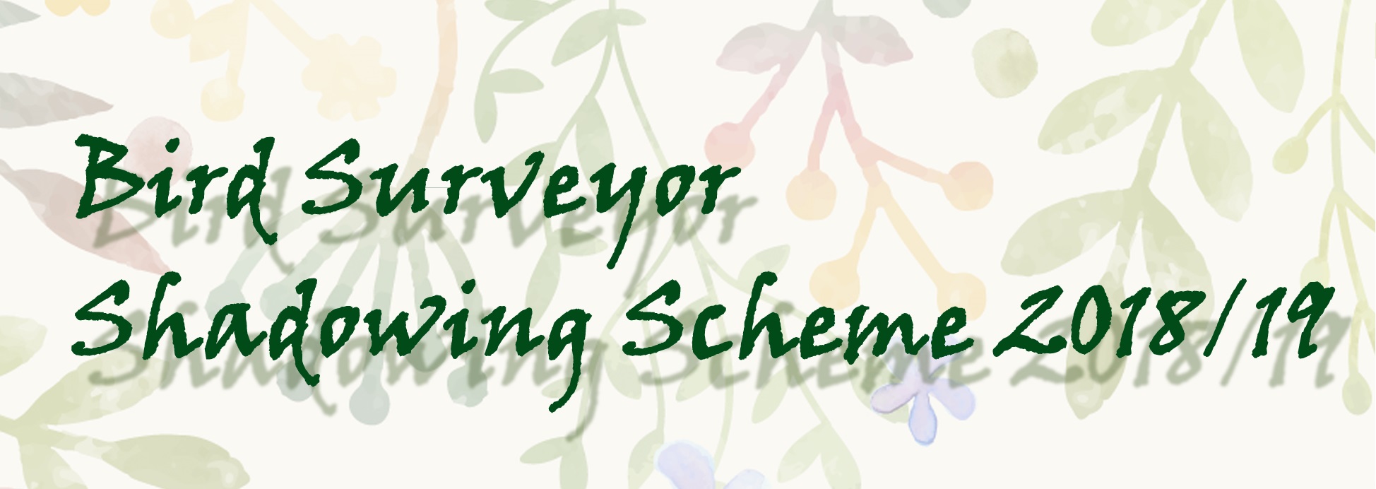 Bird Surveyor Shadowing Scheme