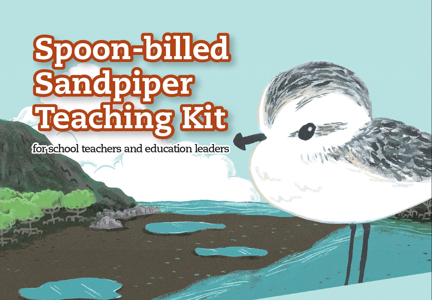 認識勺嘴鷸教材套 Spoon-billed Sandpiper Teaching Kit