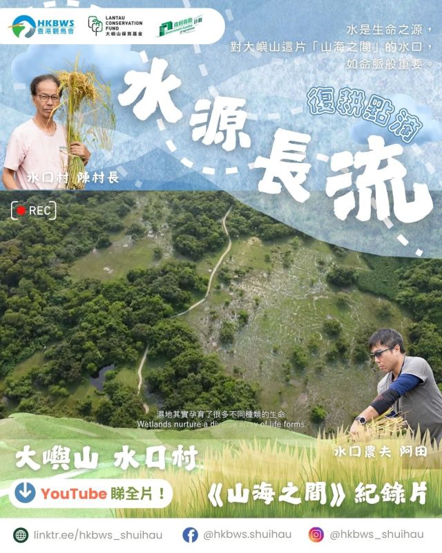 《山海之間》水源長流|大嶼山水口復耕點滴