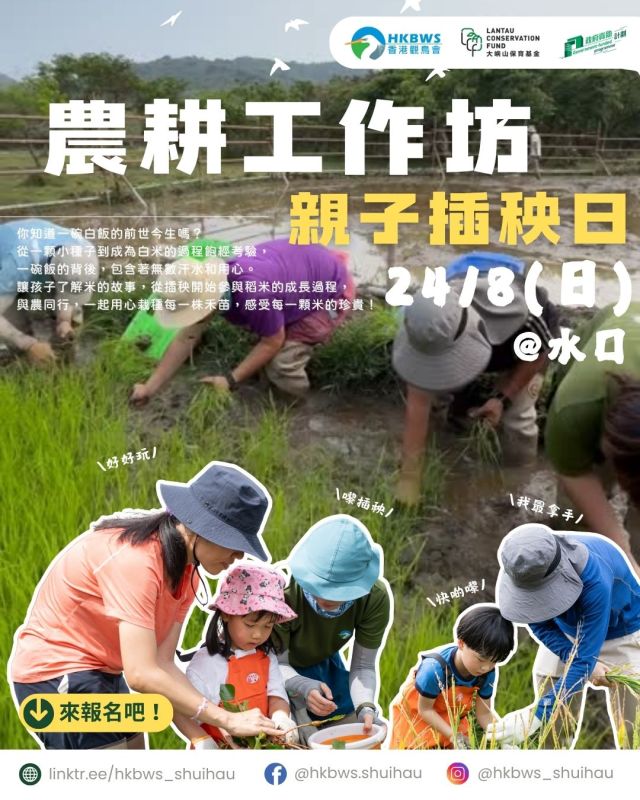 水口農耕工作坊 — 親子插秧日 24/8