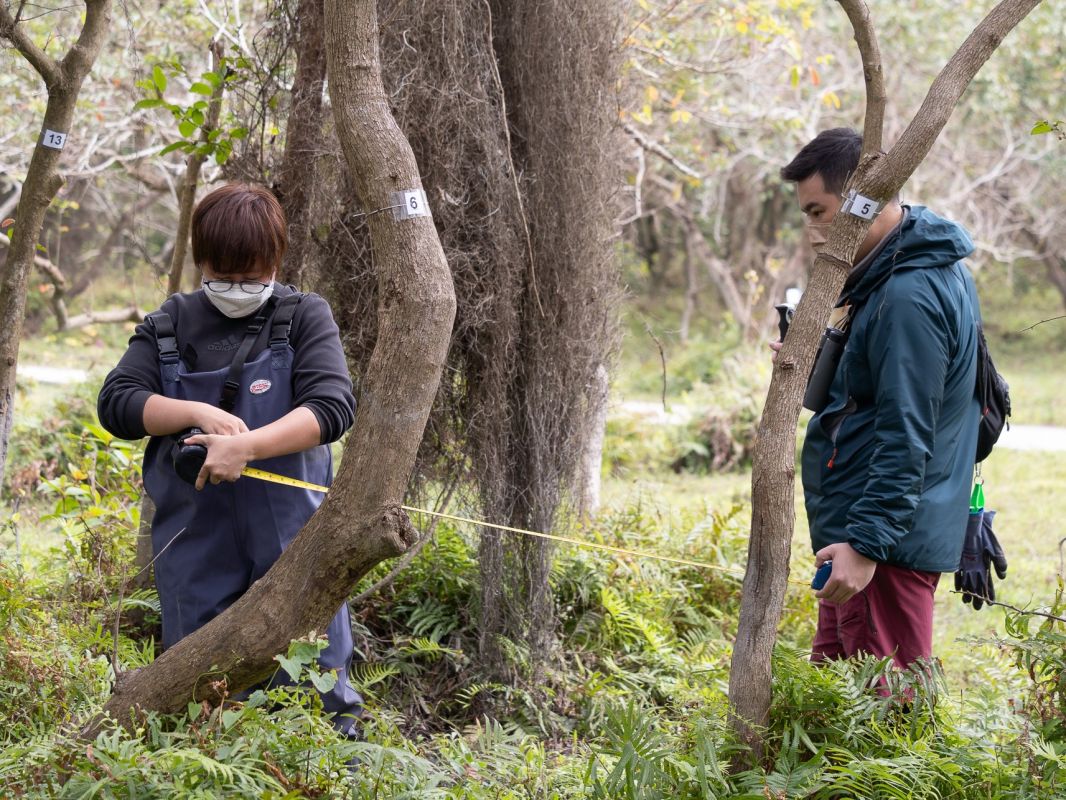 Tree Tagging - Hong Kong Bird Watching Society