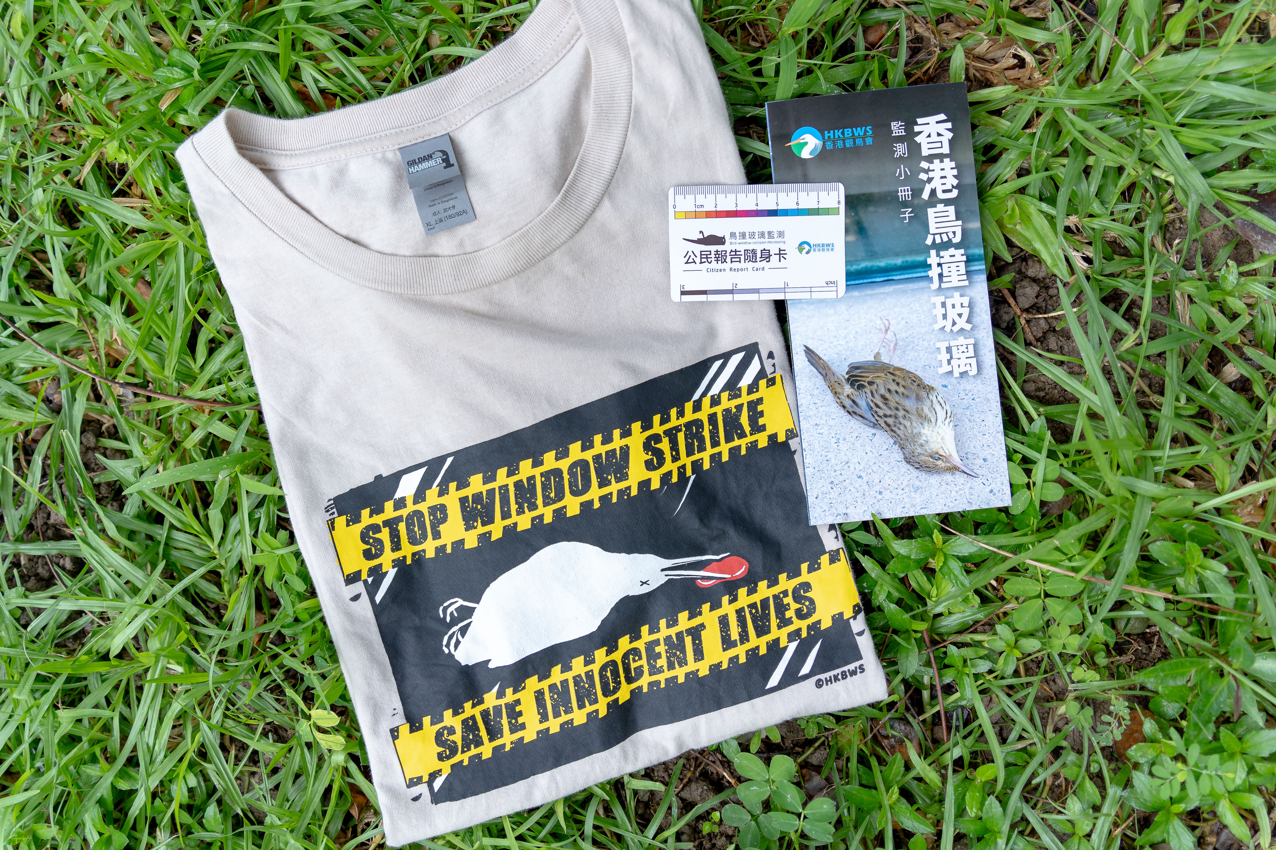 【讓雀鳥看見玻璃】鳥撞玻璃主題 Tee Anti-Bird-Collision T-shirt 