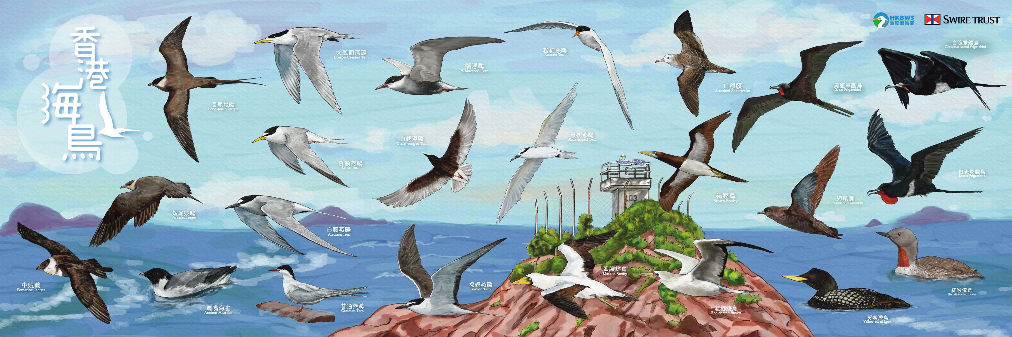集合吧海鳥！超輕量速乾戶外毛巾 Muster, Seabirds! Ultra Lightweight Quick-Dry Outdoor Towel