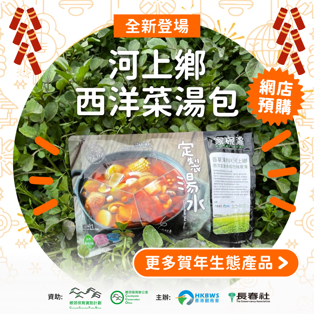 【只限田嘢門市取貨】河上鄉西洋菜湯包500ml Watercress Soup