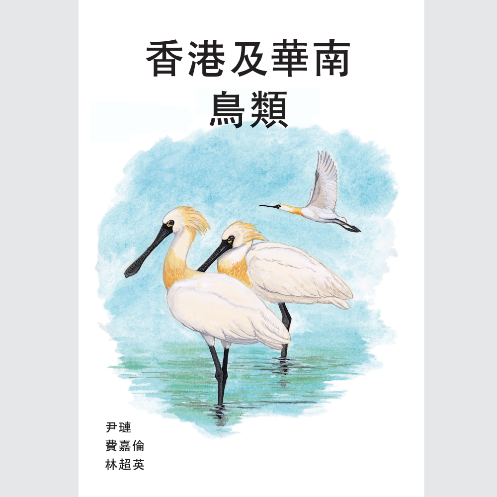 香港及華南鳥類