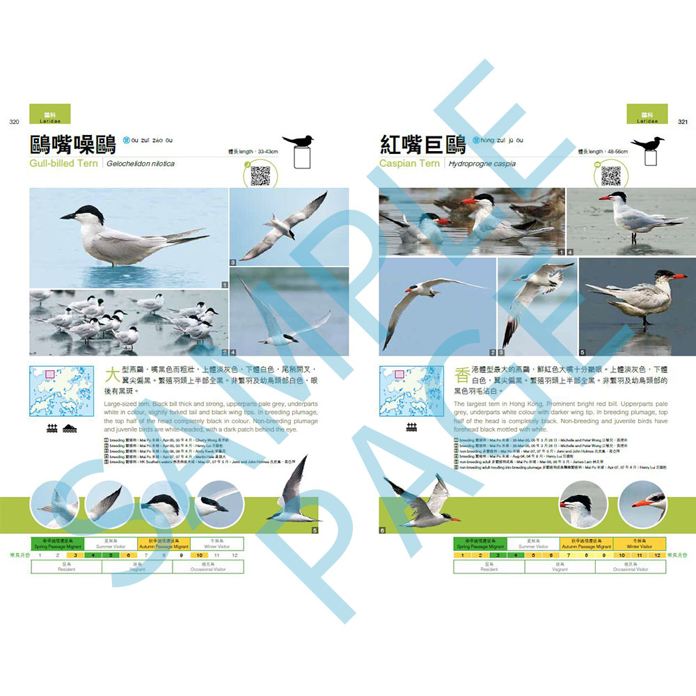 香港觀鳥全圖鑑 (一套兩冊) A Photographic Guide to the Birds of Hong Kong