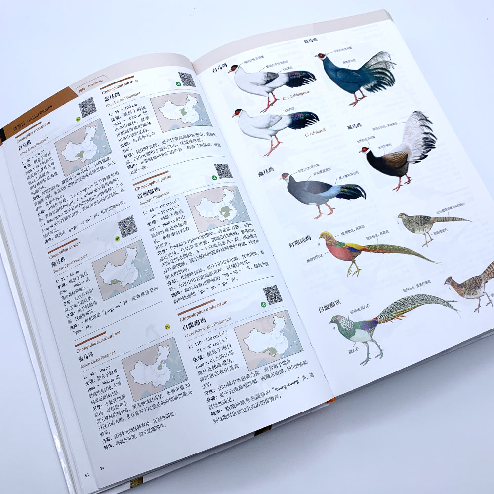 中國鳥類觀察手冊 (簡體中文)