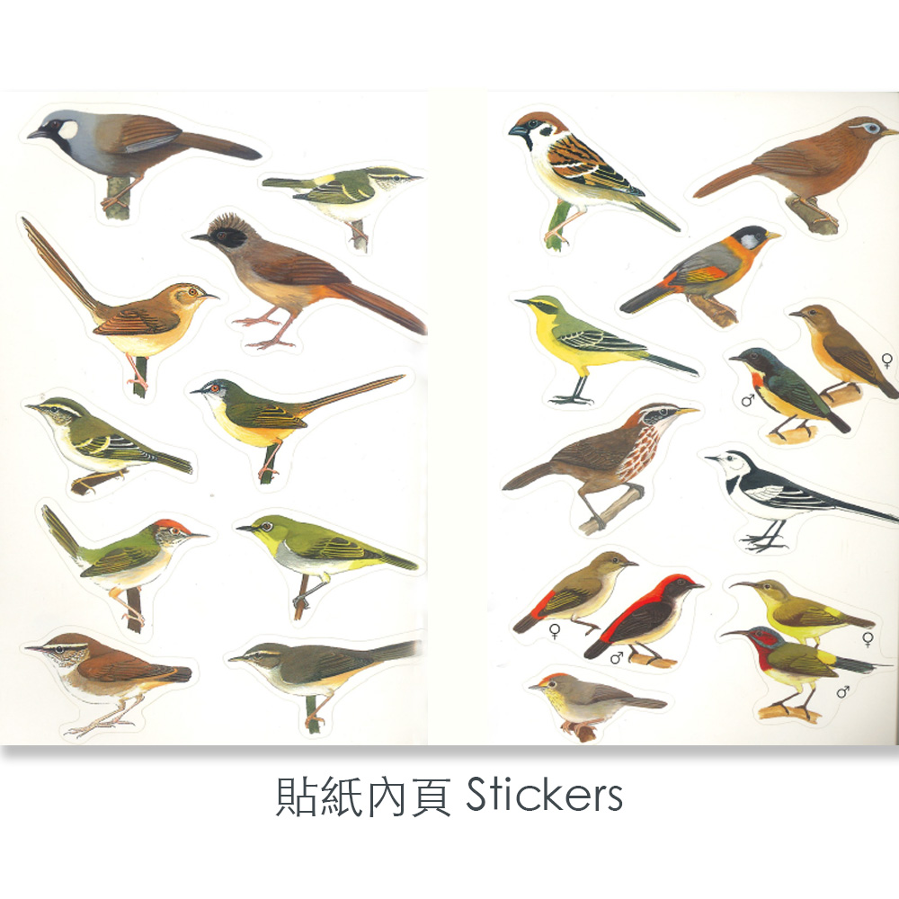 香港鳥類 (兒童版) Hong Kong Birds for Kids