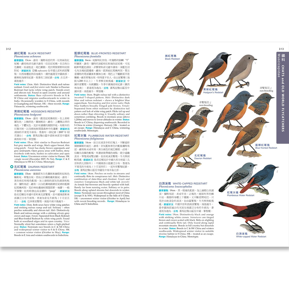 香港觀鳥會香港及華南鳥類野外手冊 HKBWS Field Guide to the Birds of Hong Kong and South China 