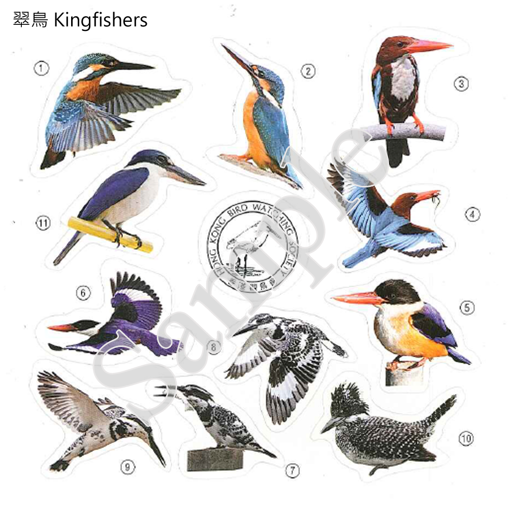 香港雀鳥貼紙 Birds of HK Stickers (一套5張 Set of 5)