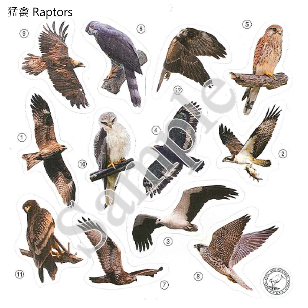 香港雀鳥貼紙 Birds of HK Stickers (一套5張 Set of 5)