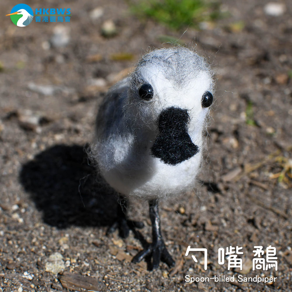 羊毛氈雀鳥公仔 (共三款) Needle felted birds (3 bird species)