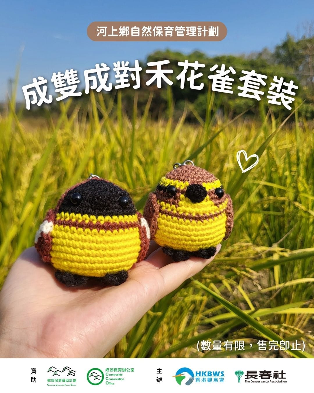 💛成雙成對禾花雀套裝💛 Yellow-breasted Bunting hand-crocheted dolls (Set) 
