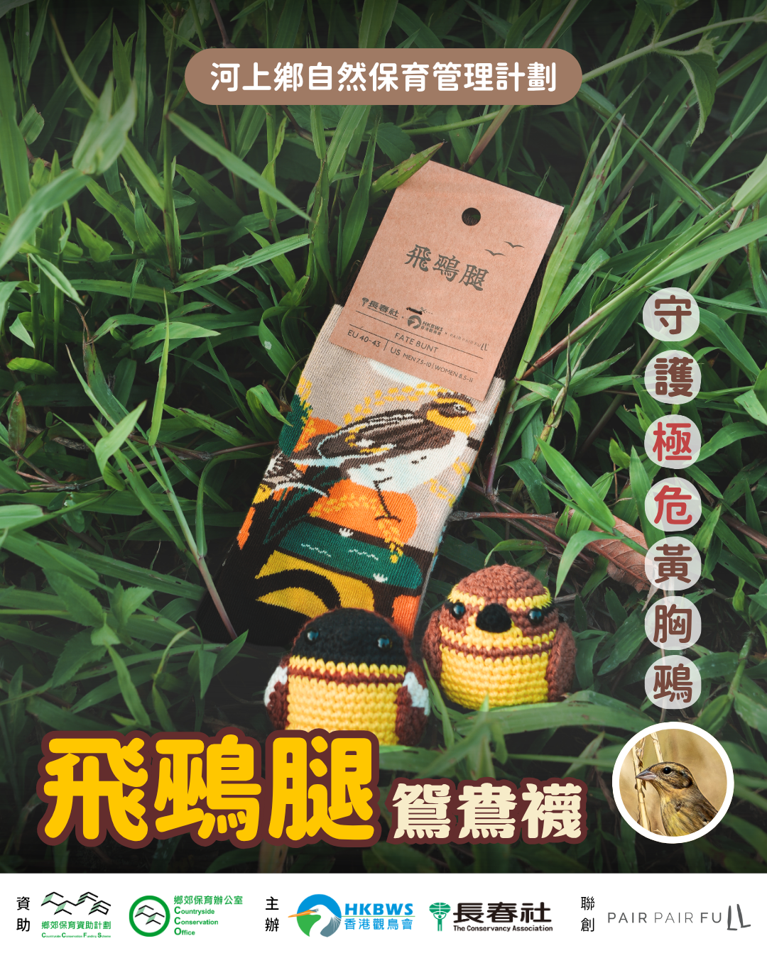 黃胸鵐主題《飛鵐腿》鴛鴦襪